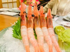 -鮨桐日本料理(望京店)