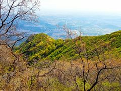 -阳台山自然风景区