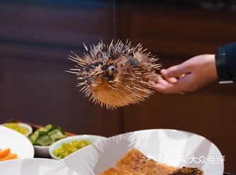 开化清水鰻鱼烧湖羊腩也非常适合团圆年夜饭