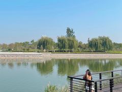 -郑东新区龙湖公共艺术中心