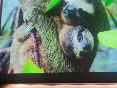 -梵尼斯足道·SPA养生馆(贝村精品店)