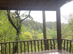 -生态园山庄(森林公园店)