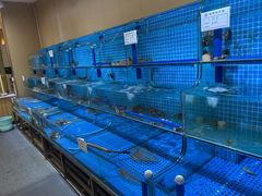 -前王院•巧克力海鲜市集餐厅(万平口店)