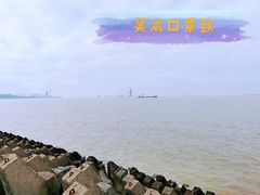 -上海滨江森林公园