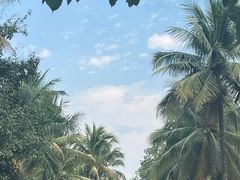 -西双版纳傣族园