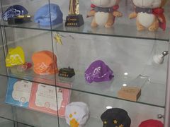 -蓝旗游泳·青训·亲子水域中心(方庄中心)