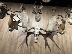 -陕西自然博物馆