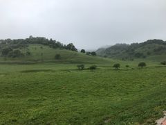 -关山草原