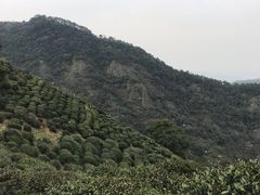 -西湖风景区十里琅珰-五云山