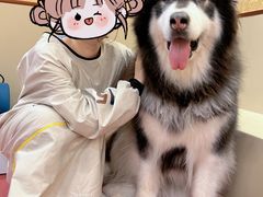-和它·交个朋友·狗咖猫咖(爱琴海店)
