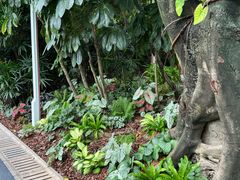 -人民公园(罗湖区)