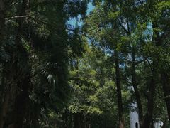 -同里国家湿地公园