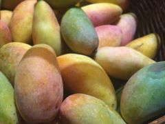 -海口绿发希尔顿酒店-田园汇自助餐·三文鱼·海鲜