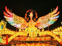 -武汉园博园(武汉自然博物馆)