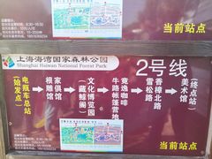 -上海海湾国家森林公园