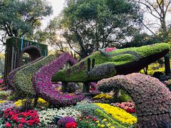 -杭州植物园