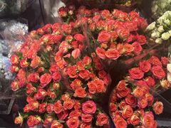 -循礼门鲜花花市(武汉循礼门店)