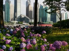 -北外滩滨江绿地