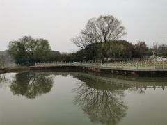 -八大山人梅湖景区