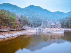 -黄陂区野村谷景区