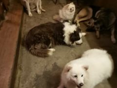 -萌喵咖啡屋(人民东路4号口M16商铺店)