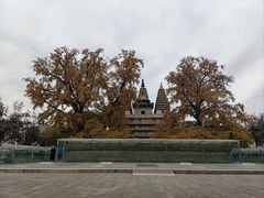 -北京石刻艺术博物馆(五塔寺)