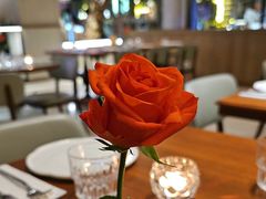 -ELI FALAFEL Lebanese&Mediterranean黎巴嫩美食(富城路店)