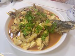 红烧狗鱼-煲来饱去冷水鱼
