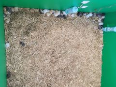 -利客来李村购物中心