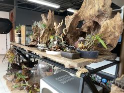 -周忆刺青原创设计定制