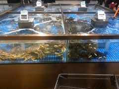 水产区-七鲜超市(通州ONE店)
