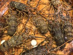 -咖啡厅自助餐厅(贵阳中天凯悦酒店)