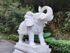 -韶关经律论国际酒店温泉
