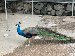 -水濂山森林公园