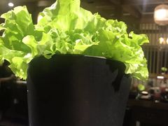 -九田家黑牛烤肉料理(珠江摩尔店)