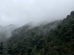 -苍山感通索道