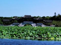 -上海海湾国家森林公园