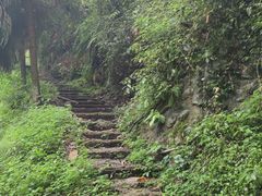 -青城山