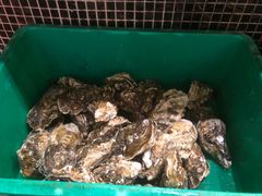 -海大大蒸汽海鲜餐厅·粤菜·特色小炒(欢乐颂店)