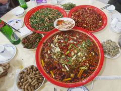 -东吴霸王兔(松青路店)