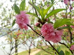 -天鹅湖体育公园