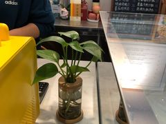 -红小姐咖啡馆(西津渡店)
