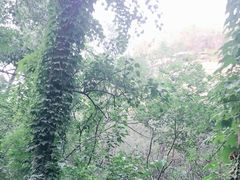-白水寺森林公园