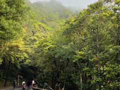 -梧桐山风景名胜区