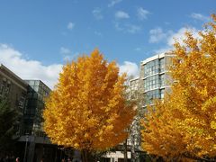 -辽宁大学(崇山校区)
