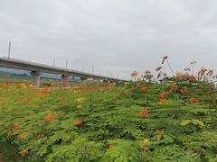 -光明小镇欢乐田园