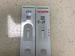 -奈斯宠物医院·核磁CT·异宠专科·内镜(中南店)