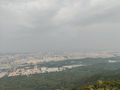 -紫金山山顶公园