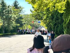 -西霞口神雕山野生动物世界