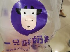 -一只酸奶牛(八一路店)